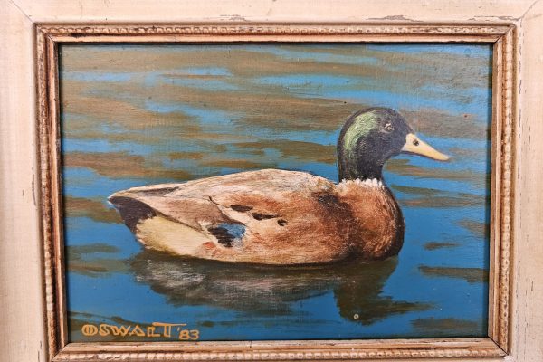 joe duck